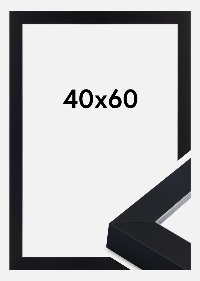 Jämtlands Ramfabrik Fotolijst Sussex Acrylglas Zwart/Zilver 40x60 cm
