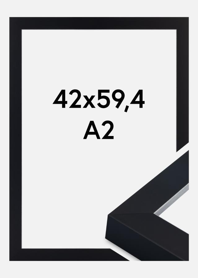 Jämtlands Ramfabrik Fotolijst Sussex Acrylglas Zwart/Zilver 42x59,4 cm (A2)