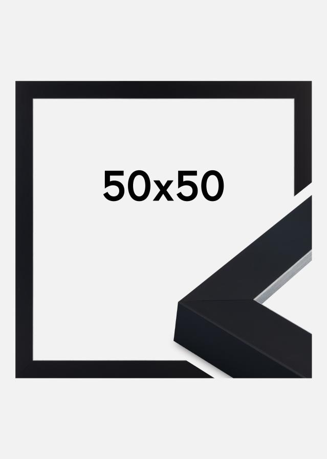 Jämtlands Ramfabrik Fotolijst Sussex Acrylglas Zwart/Zilver 50x50 cm
