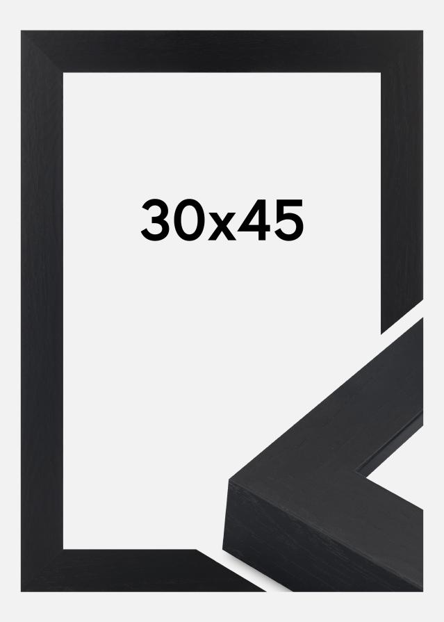 Jämtlands Ramfabrik Fotolijst Wells Acrylglas Zwart 30x45 cm