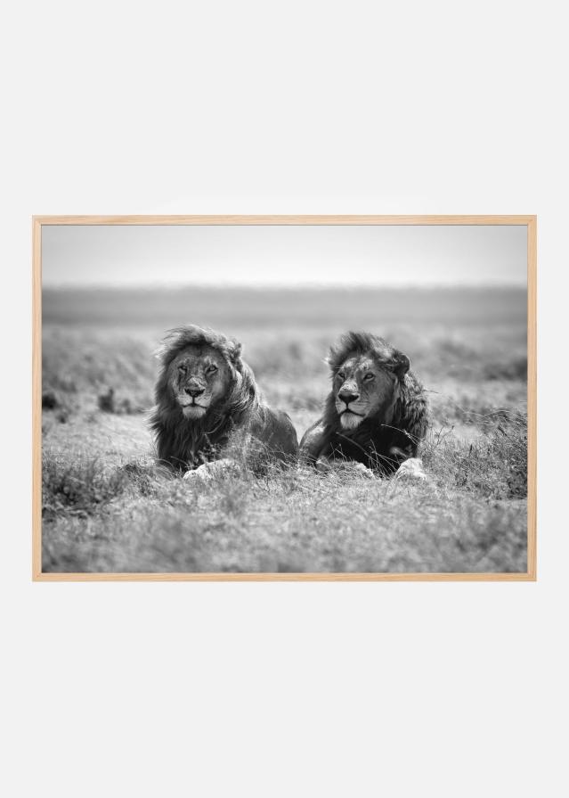 Bildverkstad Two kings Poster