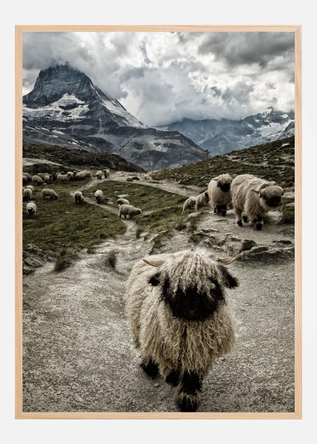 Bildverkstad Out of my way Poster