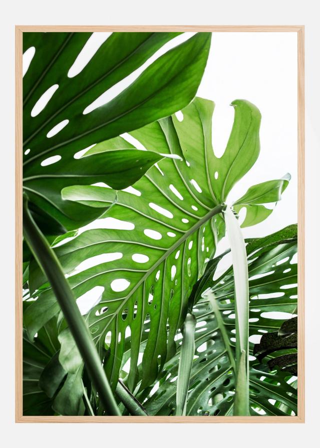 Bildverkstad Jungle Poster