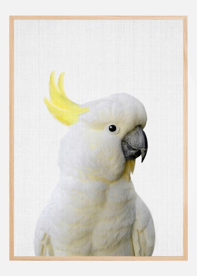Bildverkstad Peekaboo Cockatoo Poster