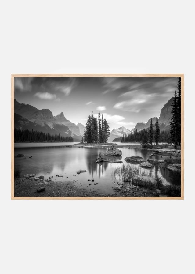 Bildverkstad spirit island Poster