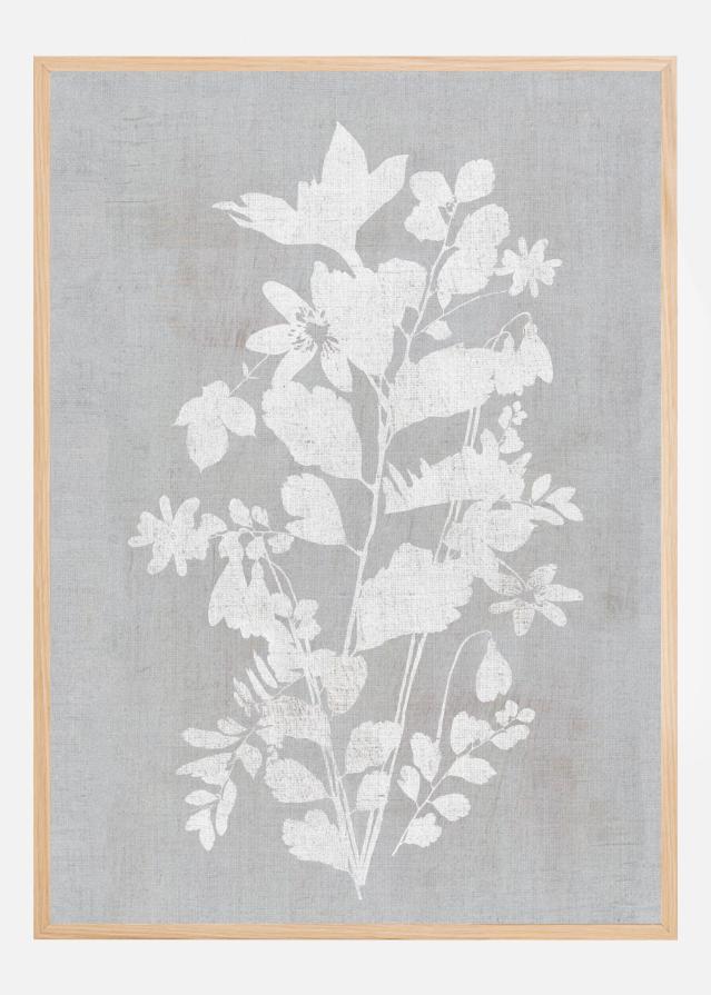 Bildverkstad Botanical Illustration 2 Poster