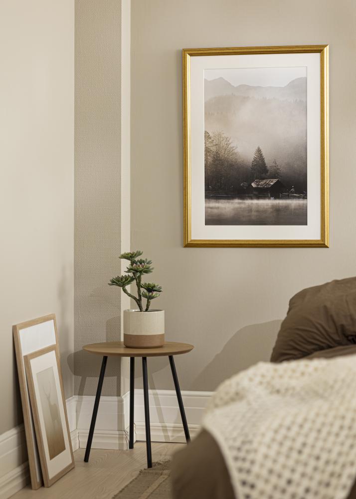 Jämtlands Ramfabrik Fotolijst Västkusten Acrylglas Goud 12x36 inches (30,48x91,44 cm)