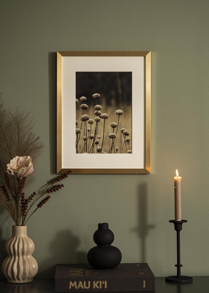 Jämtlands Ramfabrik Fotolijst Selection Acrylglas Goud 40x40 cm