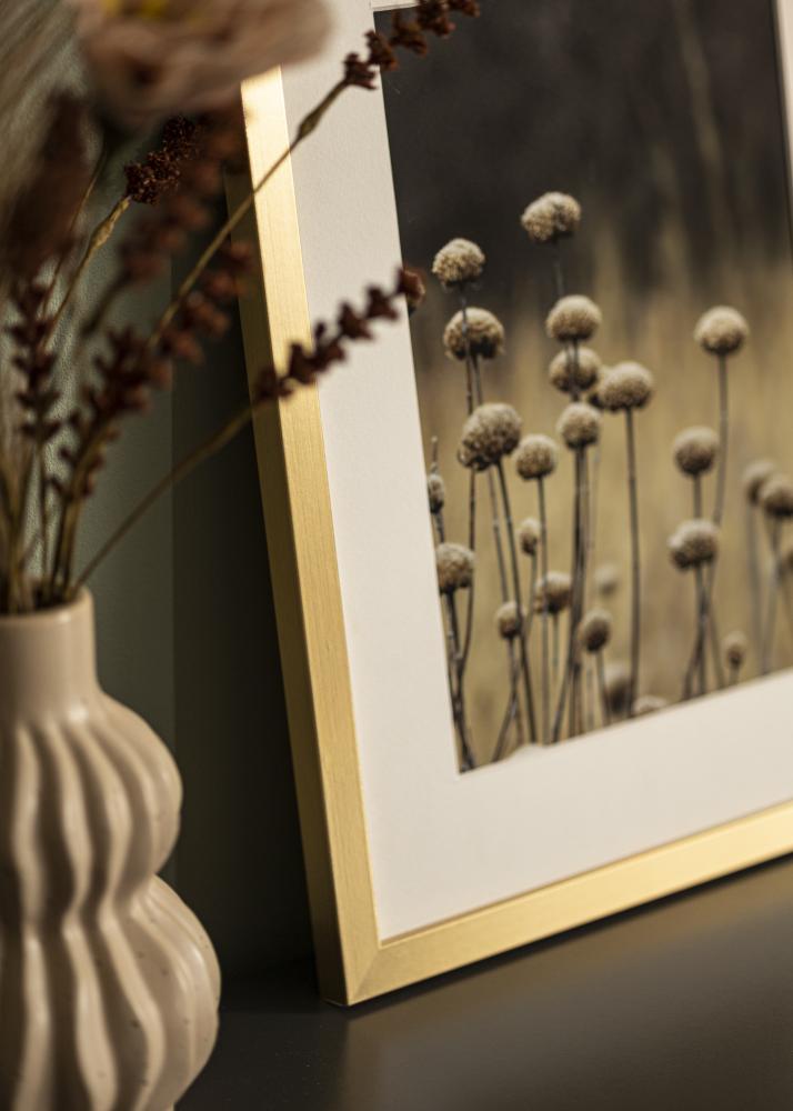 Jämtlands Ramfabrik Fotolijst Selection Acrylglas Goud 40x40 cm