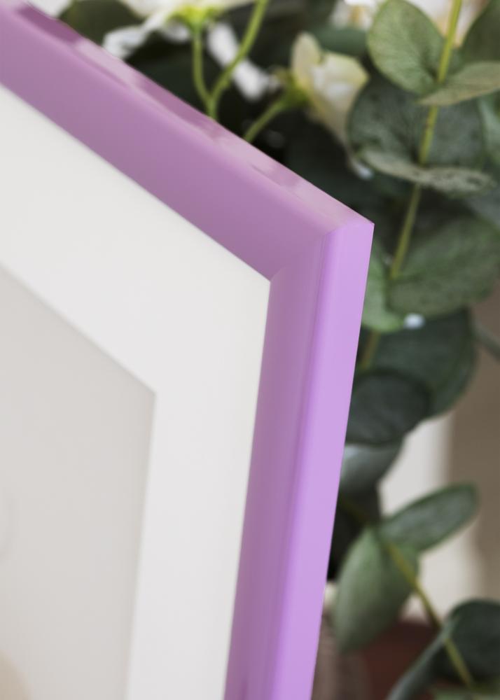 Jämtlands Ramfabrik Fotolijst Dorset Acrylglas Roze 30x45 cm