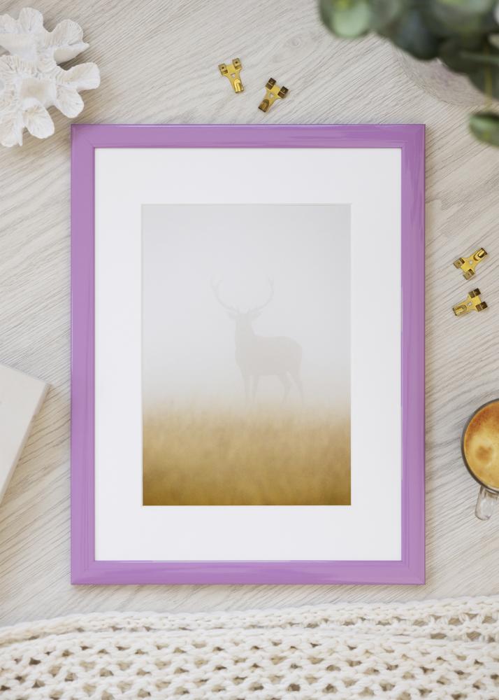 Jämtlands Ramfabrik Fotolijst Dorset Acrylglas Roze 30x45 cm