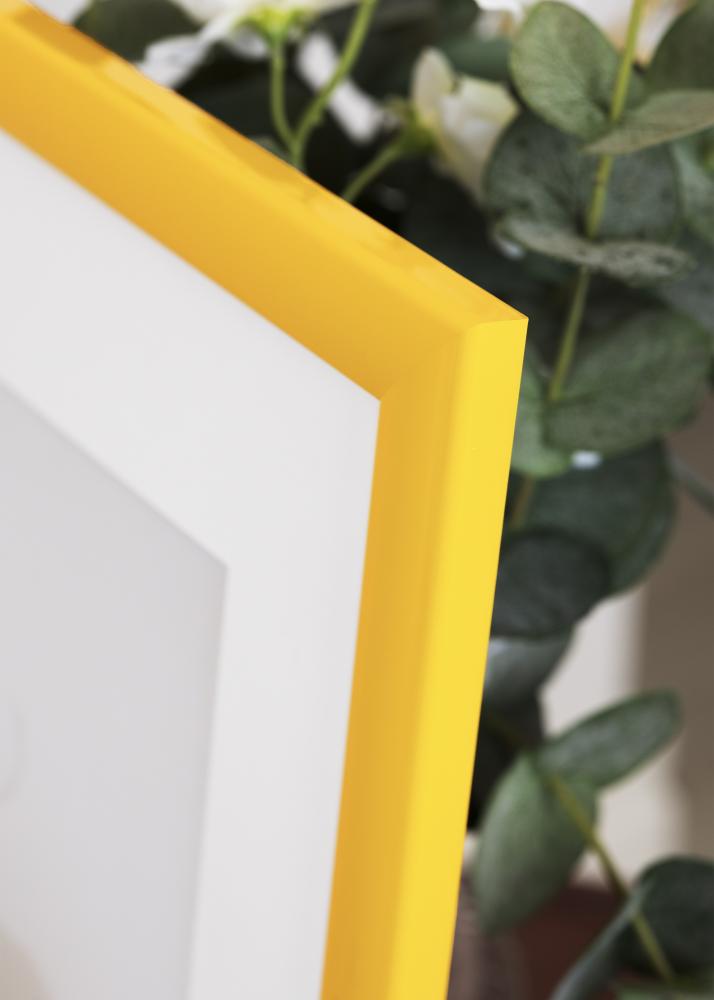 Jämtlands Ramfabrik Fotolijst Dorset Acrylglas Goud 60x80 cm