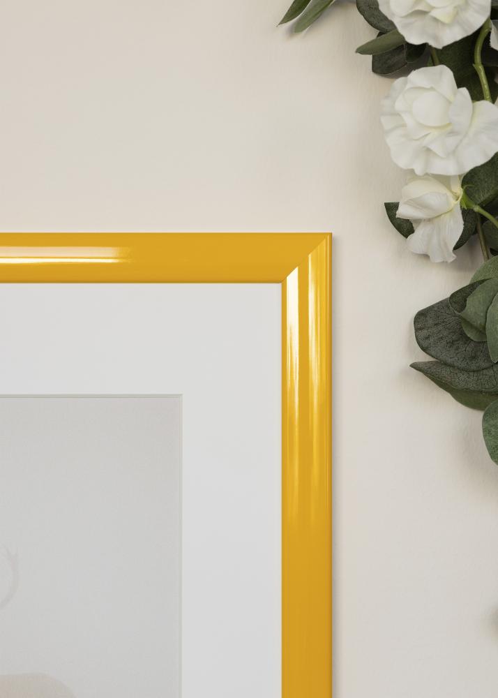 Jämtlands Ramfabrik Fotolijst Dorset Acrylglas Goud 60x80 cm