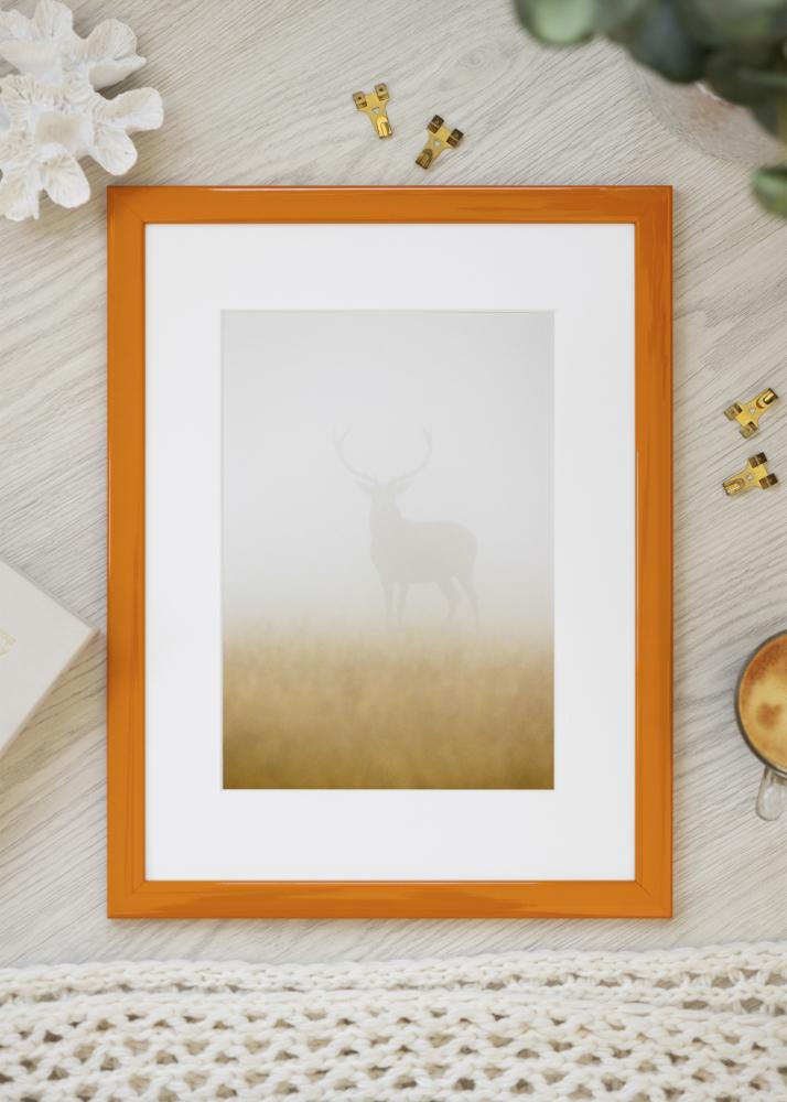 Jämtlands Ramfabrik Fotolijst Dorset Acrylglas Oranje 30x45 cm