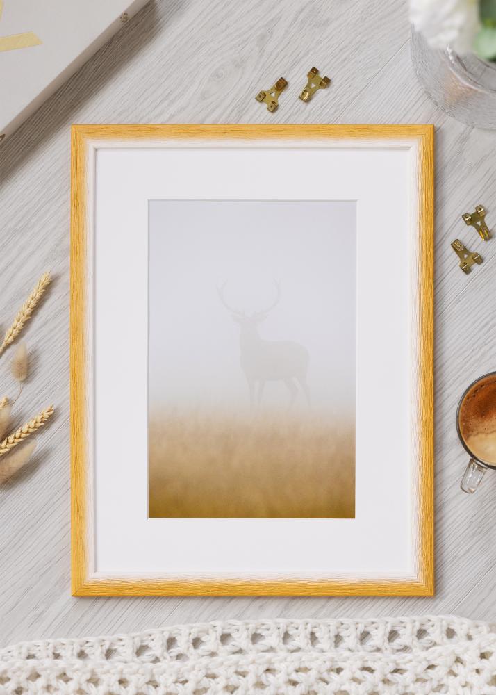 Jämtlands Ramfabrik Fotolijst Cornwall Acrylglas Goud 50x50 cm