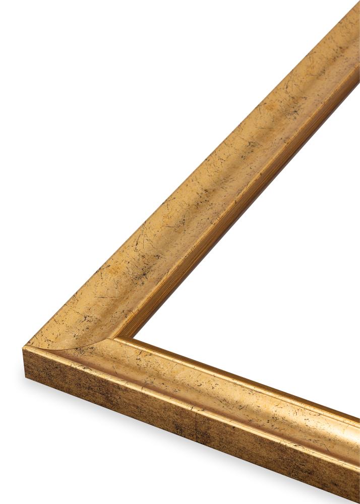 Jämtlands Ramfabrik Fotolijst Conca Acrylglas Gold 40x40 cm