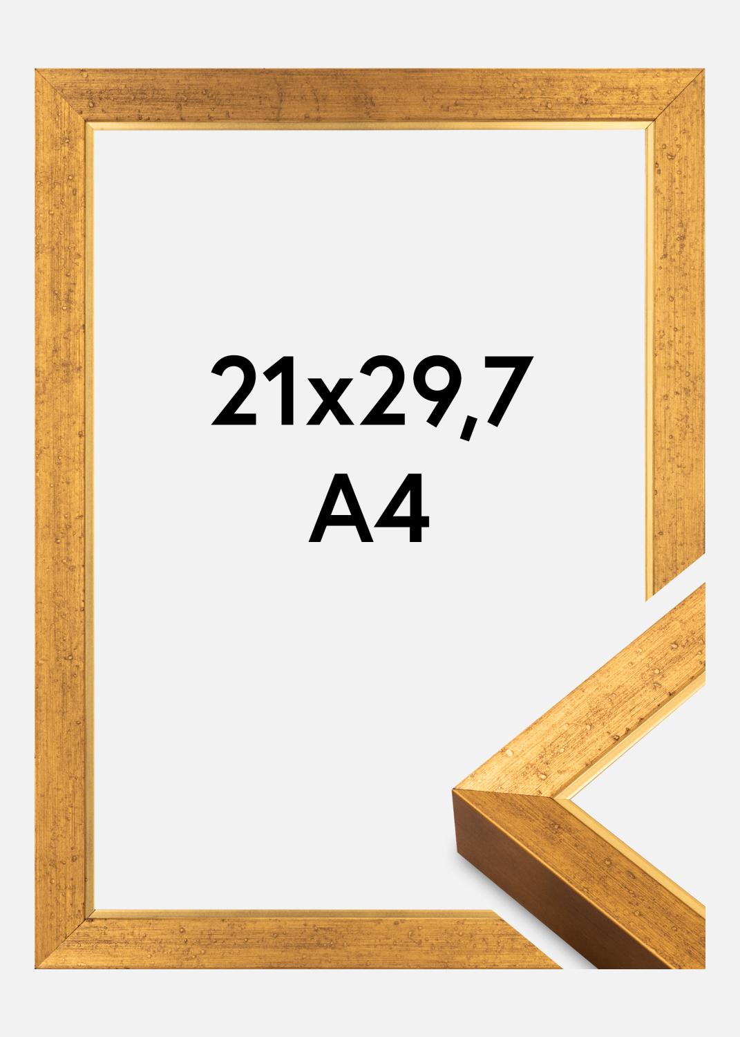Product Image for Fotolijst Brema Acrylglas Goud 21x29,7 cm (A4)