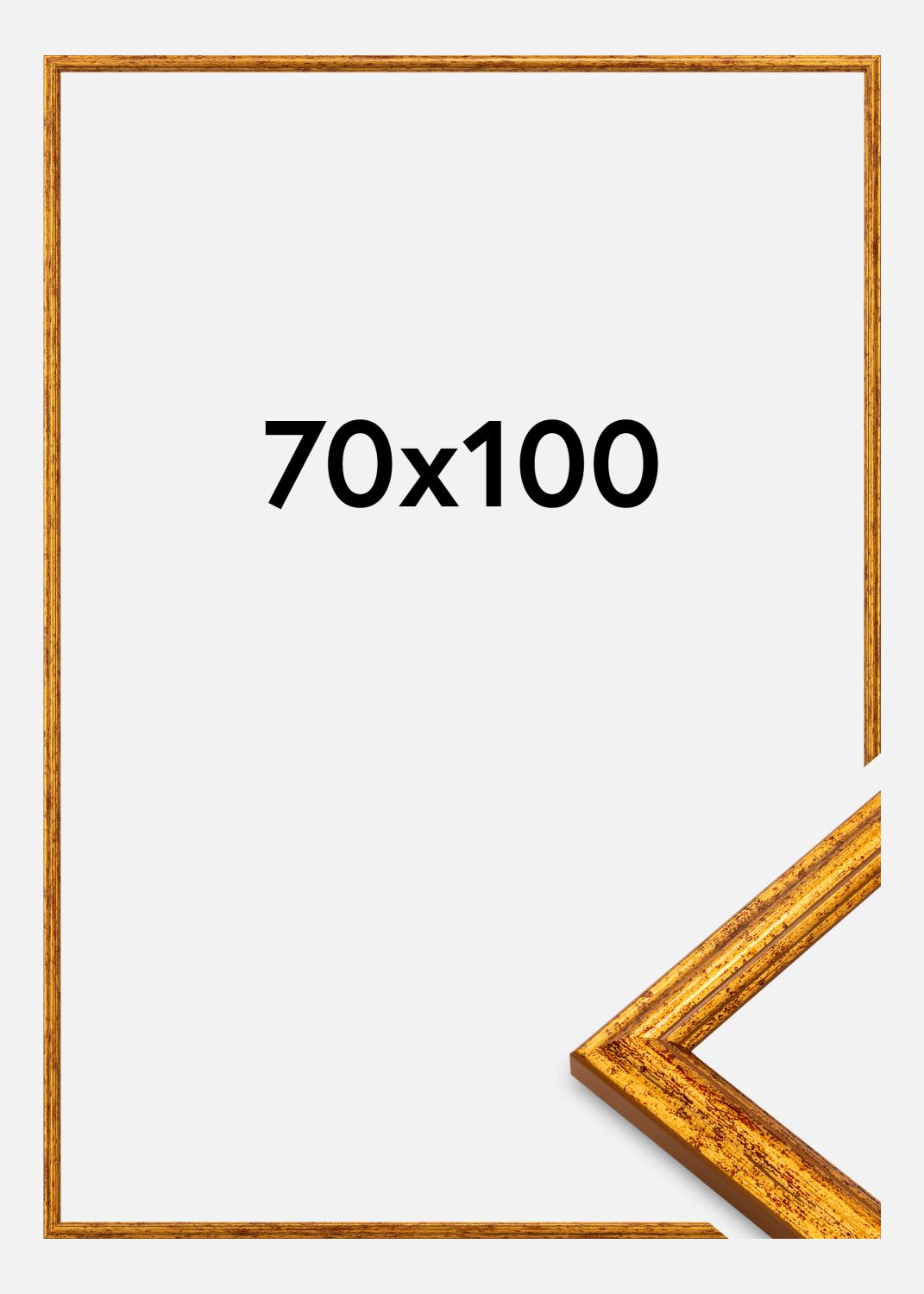 Product Image for Fotolijst Claudia Acrylglas Goud 70x100 cm