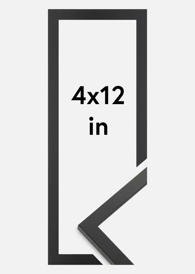 Artlink Fotolijst Trendy Acrylglas Zwart 4x12 inches (10,16x30,5 cm)