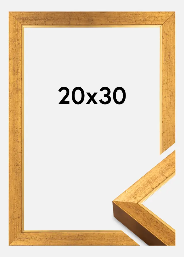 Jämtlands Ramfabrik Fotolijst Brema Acrylglas Goud 20x30 cm
