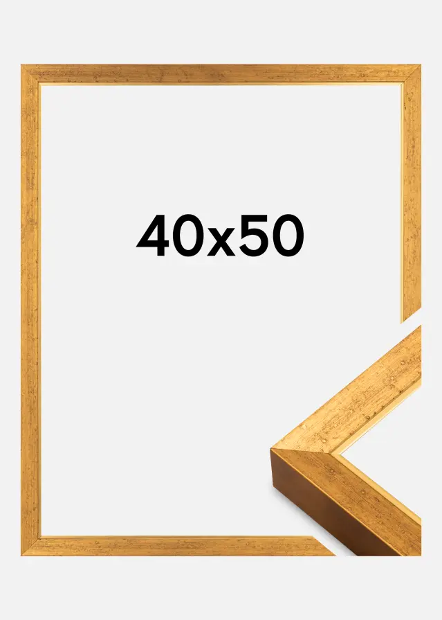 Jämtlands Ramfabrik Fotolijst Brema Acrylglas Goud 40x50 cm