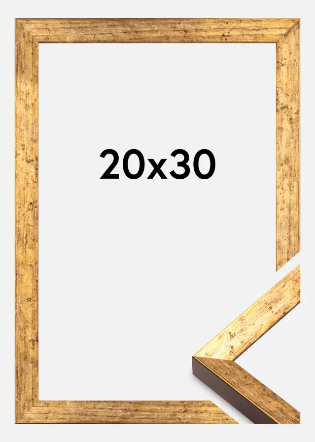 Jämtlands Ramfabrik Fotolijst Dune Acrylglas Goud 20x30 cm