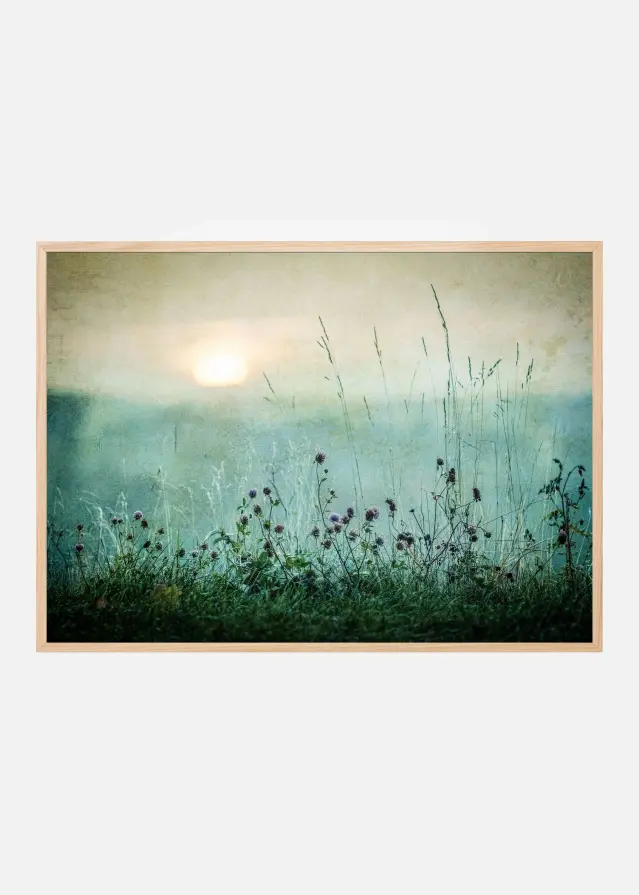 Bildverkstad Autumn sunrise Poster
