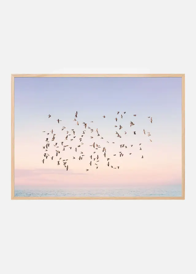Bildverkstad Sunset Flight Poster