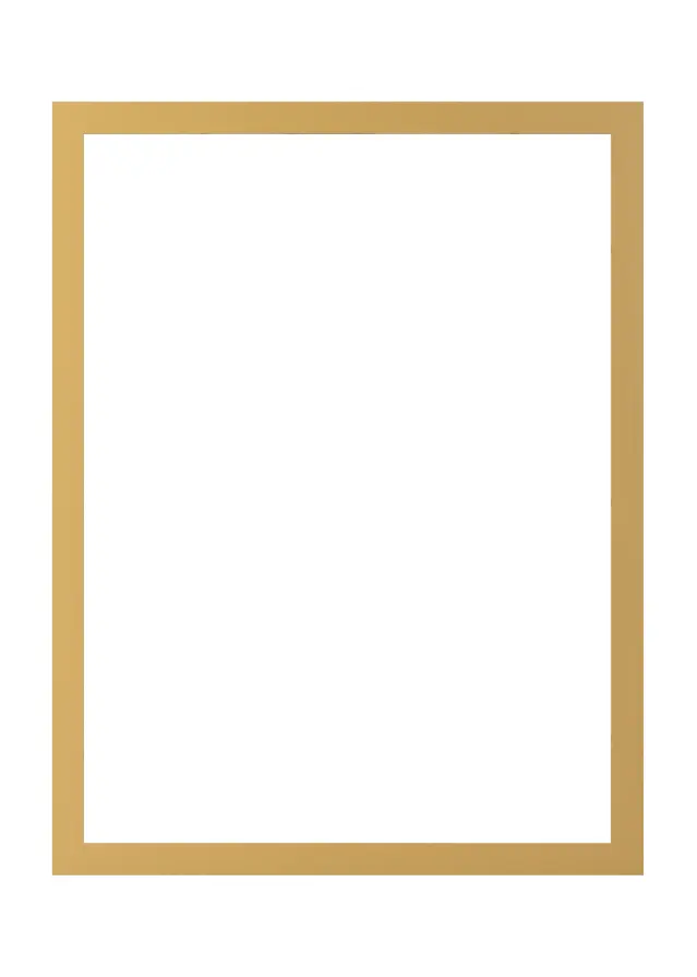 Jämtlands Ramfabrik Fotolijst Selection Acrylglas Corn Yellow 70x100 cm