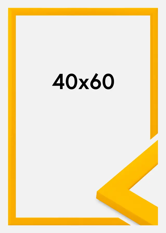 Jämtlands Ramfabrik Fotolijst Dorset Acrylglas Goud 40x60 cm