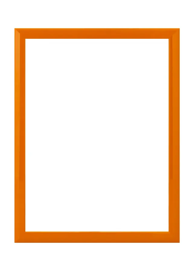 Jämtlands Ramfabrik Fotolijst Dorset Acrylglas Oranje 21x29,7 cm (A4)