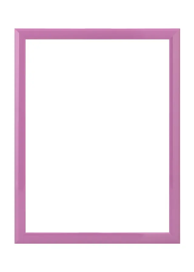 Jämtlands Ramfabrik Fotolijst Dorset Acrylglas Roze 30x40 cm