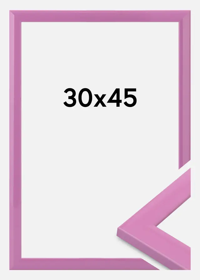 Jämtlands Ramfabrik Fotolijst Dorset Acrylglas Roze 30x45 cm