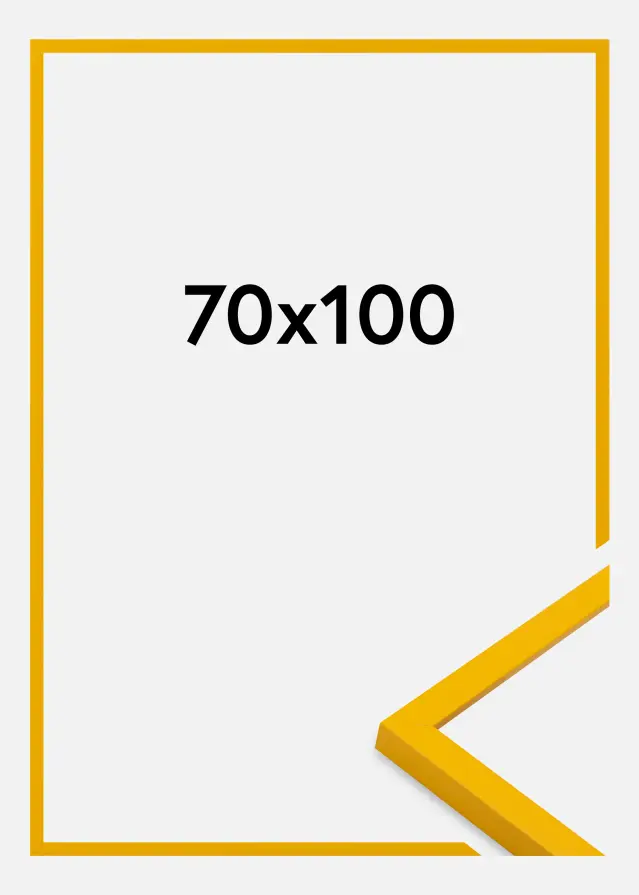 Jämtlands Ramfabrik Fotolijst Kent Acrylglas Goud 70x100 cm