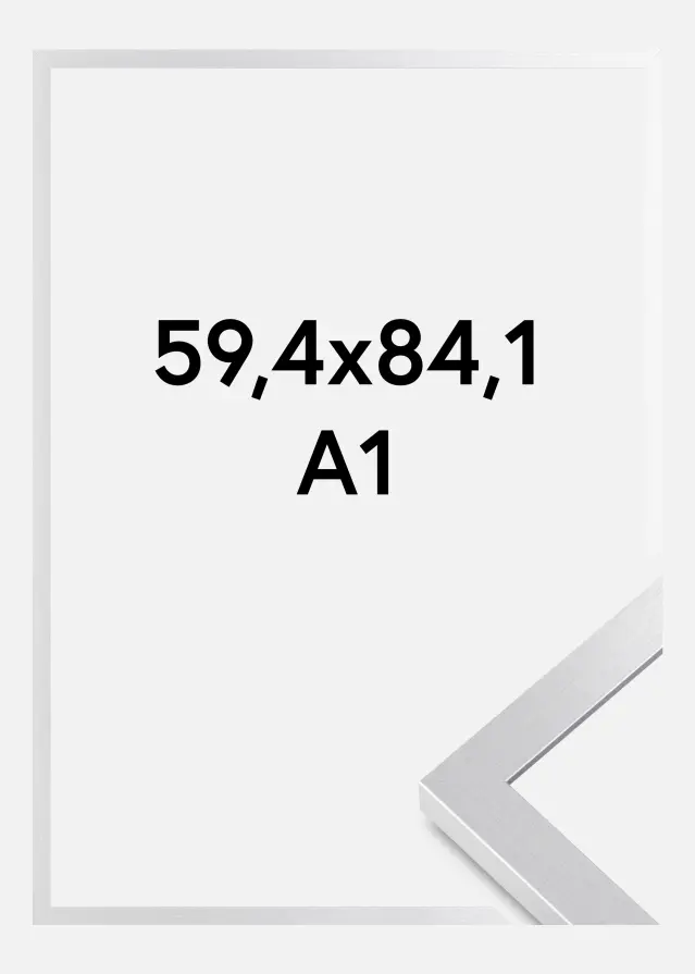 BGA Fotolijst Selection Acrylglas Zilver 59,4x84,1 cm (A1)