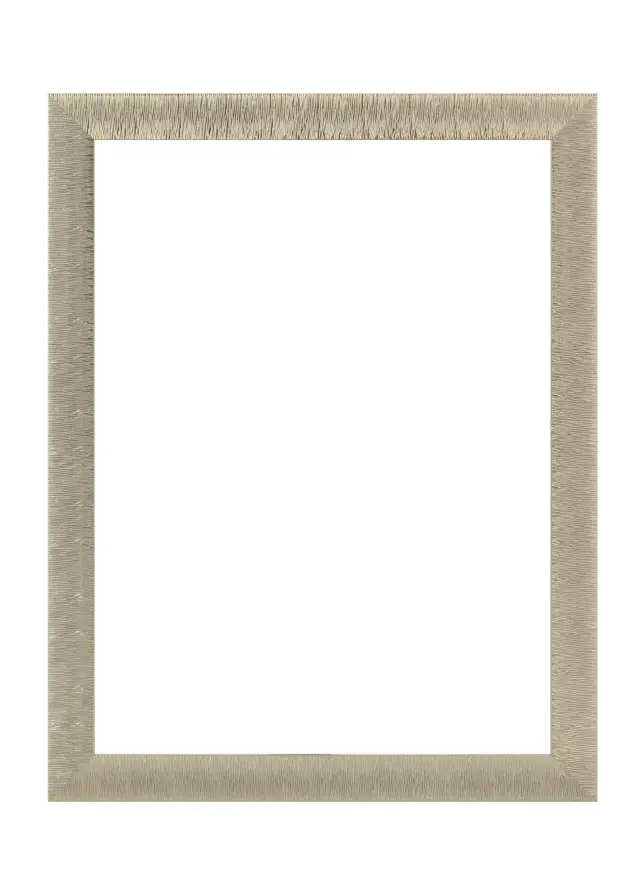 Jämtlands Ramfabrik Fotolijst Linea Acrylglas Champagne 70x100 cm