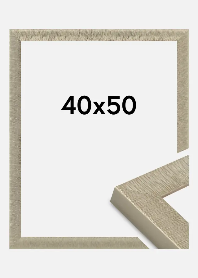Jämtlands Ramfabrik Fotolijst Linea Acrylglas Champagne 40x50 cm