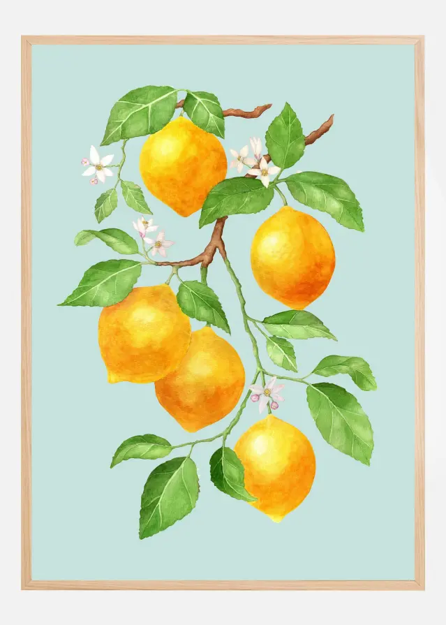 Bildverkstad Limao - Citrus Fruit Poster