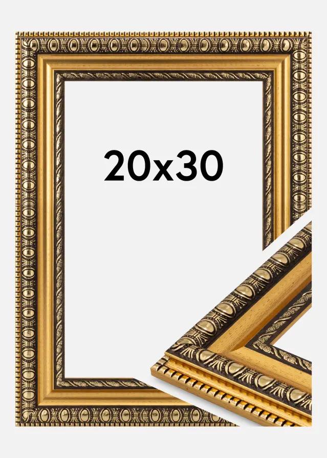 Jämtlands Ramfabrik Fotolijst Ornato Acrylglas Gold 20x30 cm