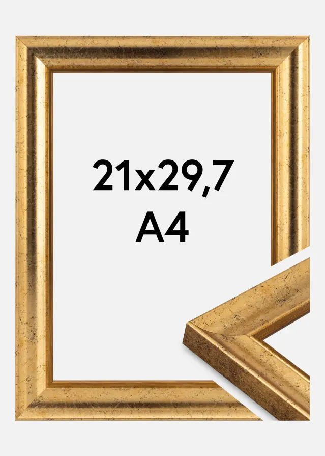 Jämtlands Ramfabrik Fotolijst Conca Acrylglas Gold 21x29.7 cm (A4)