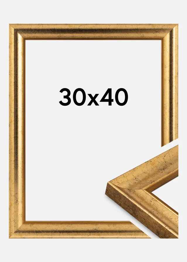 Jämtlands Ramfabrik Fotolijst Conca Acrylglas Gold 30x40 cm
