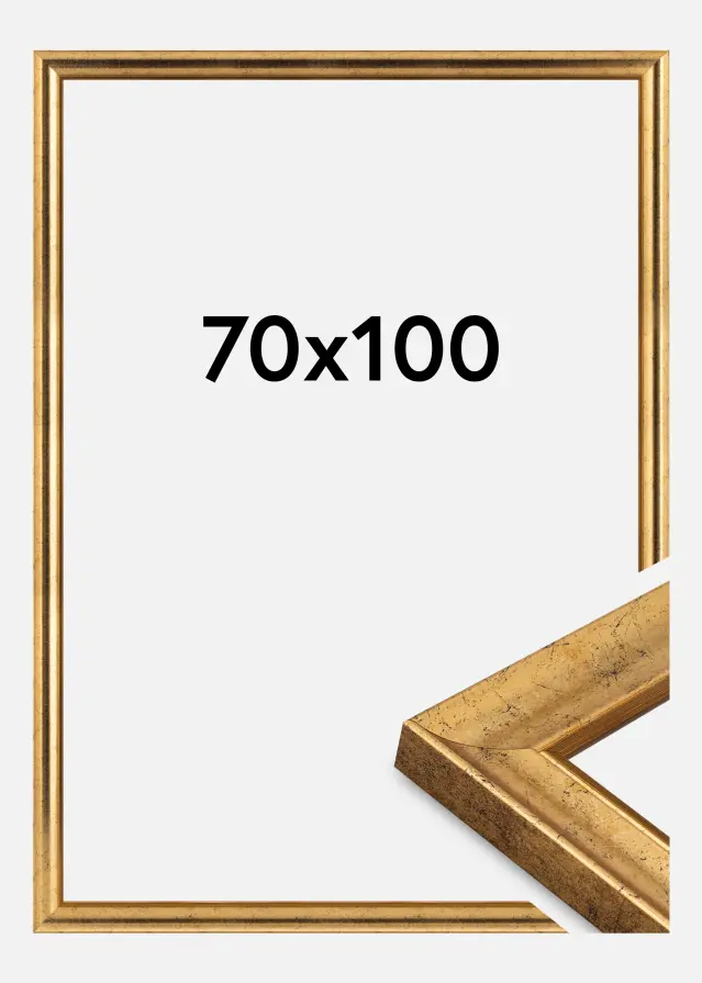 Jämtlands Ramfabrik Fotolijst Conca Acrylglas Gold 70x100 cm