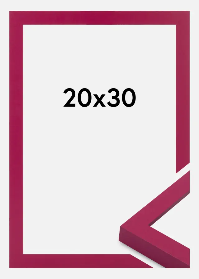 Jämtlands Ramfabrik Fotolijst Selection Acrylglas Hot Pink 20x30 cm