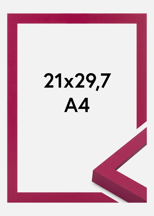 Jämtlands Ramfabrik Fotolijst Selection Acrylglas Hot Pink 21x29.7 cm (A4)