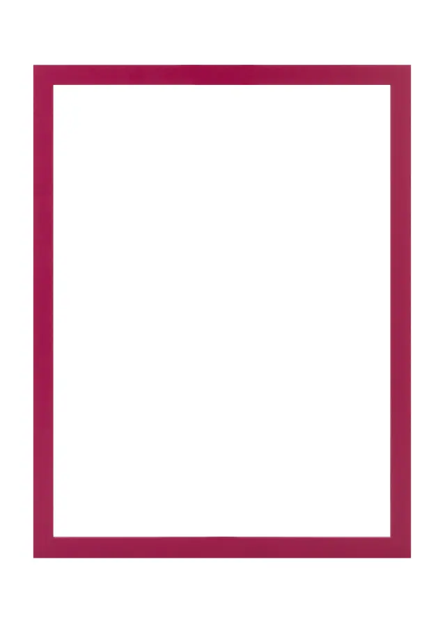 Jämtlands Ramfabrik Fotolijst Selection Acrylglas Hot Pink 50x50 cm