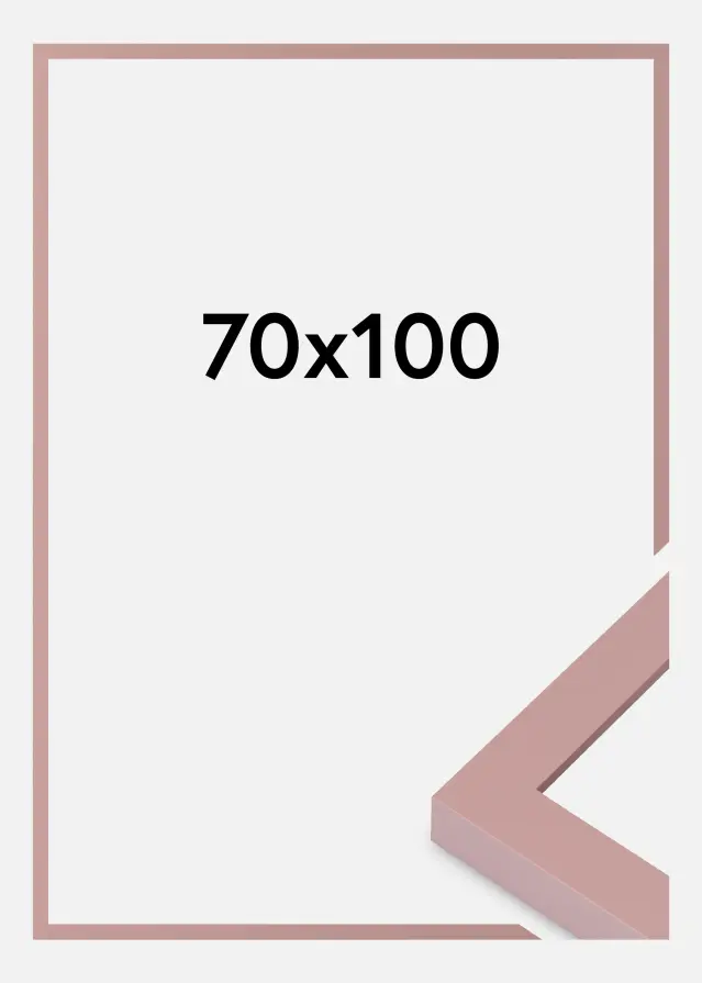 Jämtlands Ramfabrik Fotolijst Selection Acrylglas Peach 70x100 cm