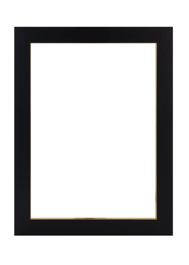 Jämtlands Ramfabrik Fotolijst Sussex Acrylglas Zwart/Goud 20x30 cm