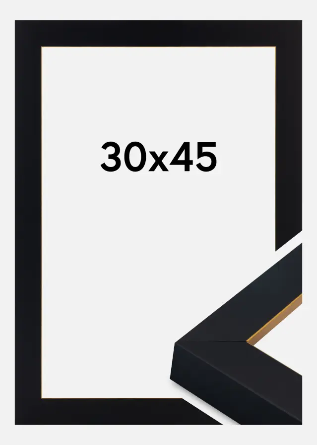 Jämtlands Ramfabrik Fotolijst Sussex Acrylglas Zwart/Goud 30x45 cm