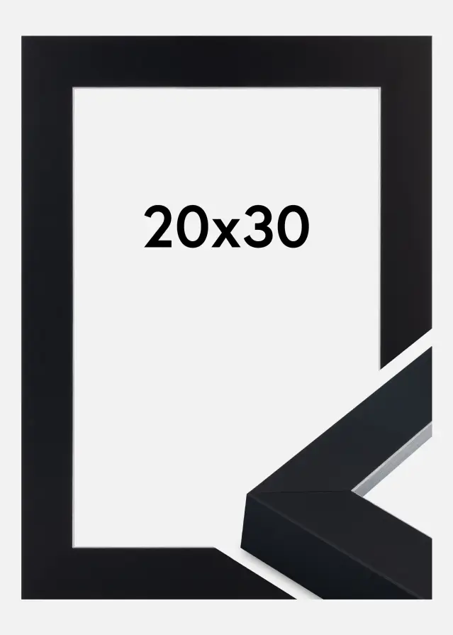 Jämtlands Ramfabrik Fotolijst Sussex Acrylglas Zwart/Zilver 20x30 cm