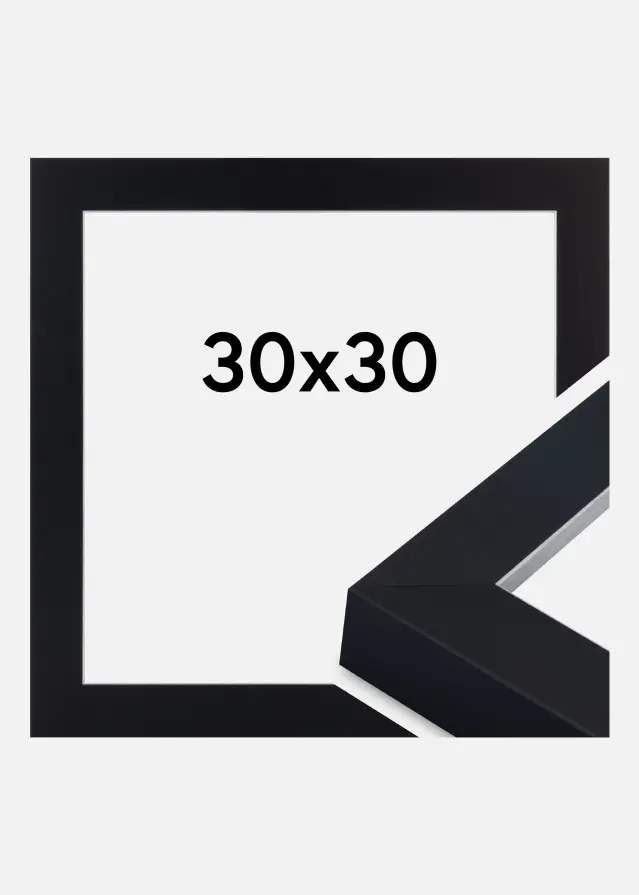 Jämtlands Ramfabrik Fotolijst Sussex Acrylglas Zwart/Zilver 30x30 cm